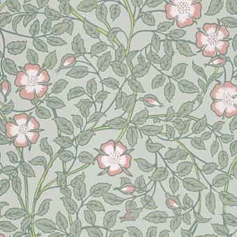 Флизелиновые обои Little Greene 0263BRSALIX коллекции National Trust Papers III